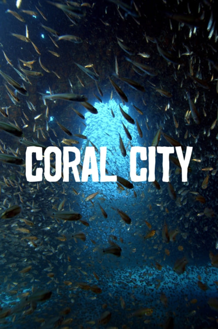 珊瑚城 第一季(全集)