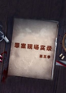 罪案现场实录第五季(全集)