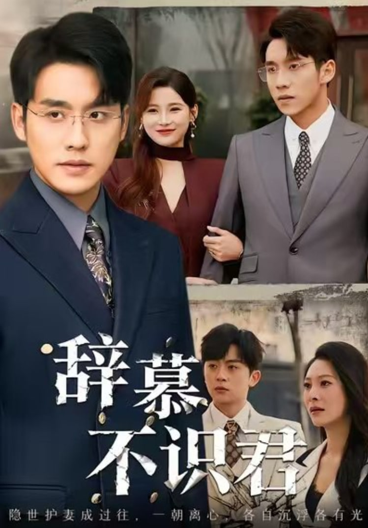 辞慕不识君(七年情深终成侮)(全集)