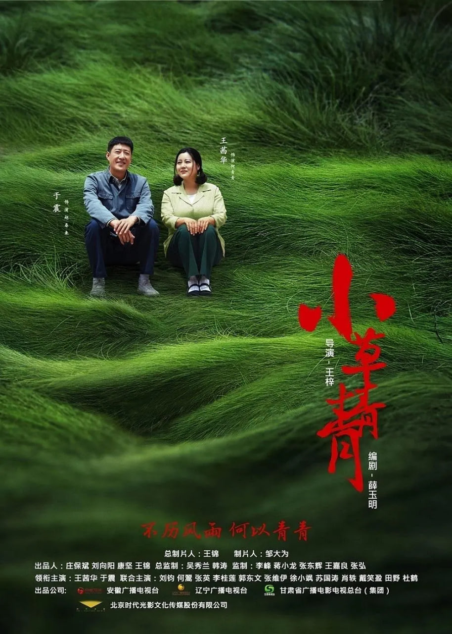 小草青青(全集)