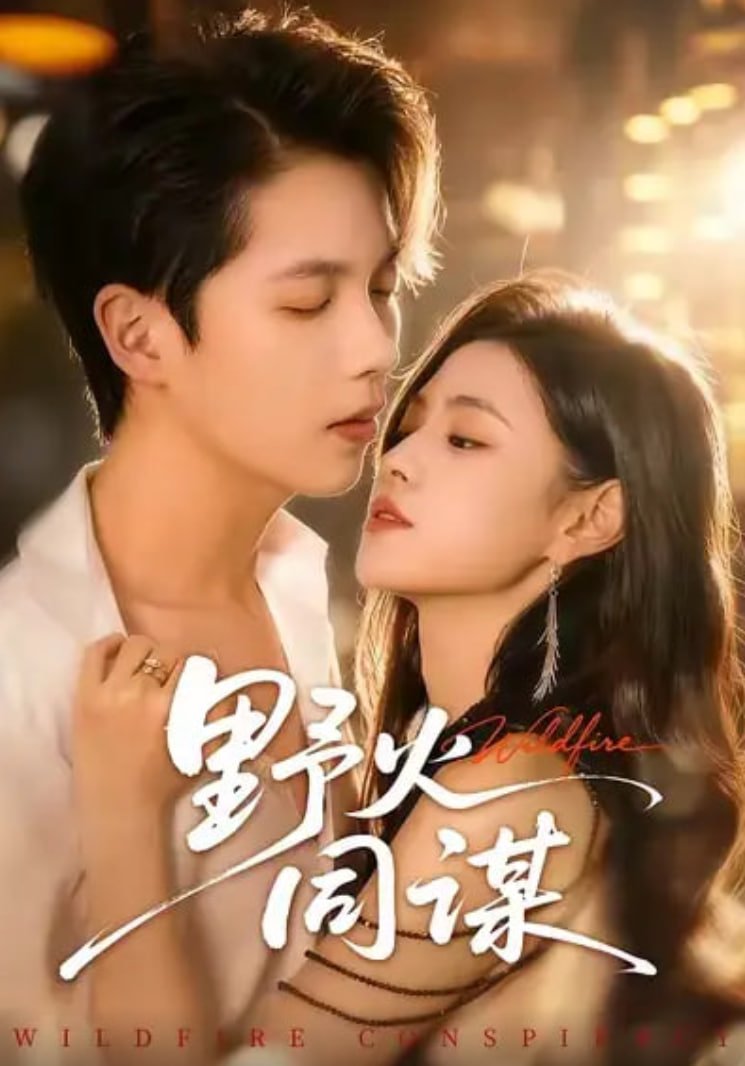 野火同谋(全集)