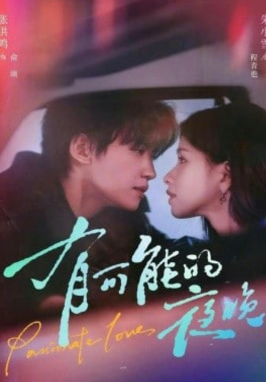 有可能的夜晚(全集)