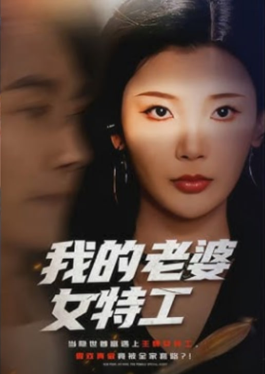 我的老婆女特工(全集)