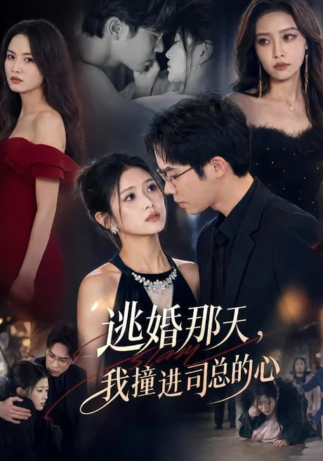 逃婚那天，我撞进司总的心(全集)