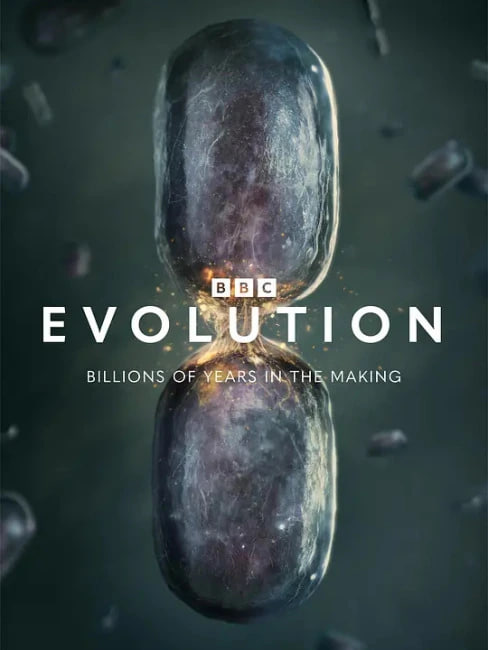 进化2026